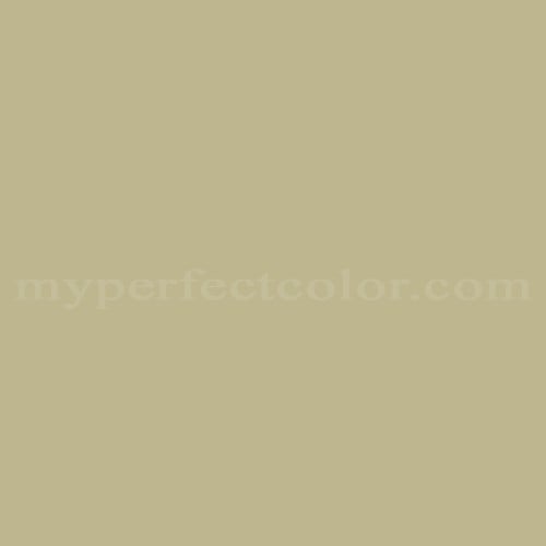 Color Image