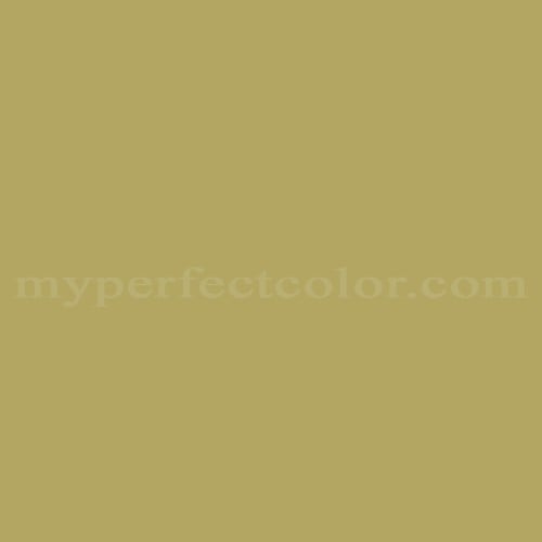 Color Image