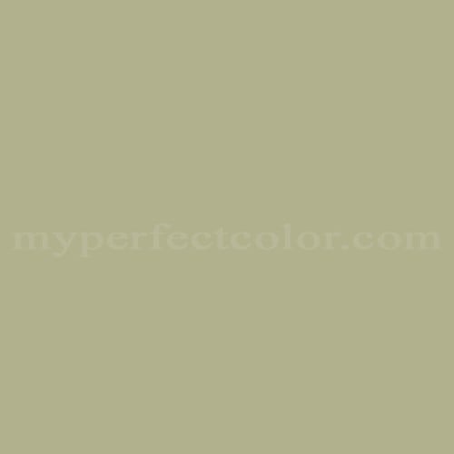 Color Image