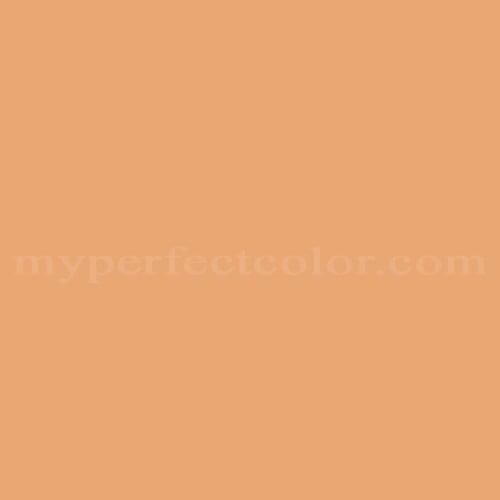 Color Image