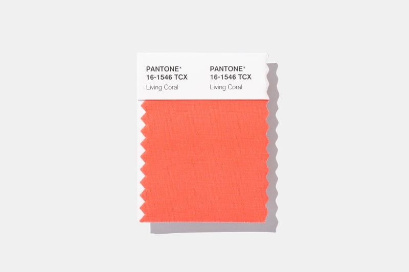 Pantone 2019 Color of the Year 16-1546 TPX Living Coral Mini Swatch