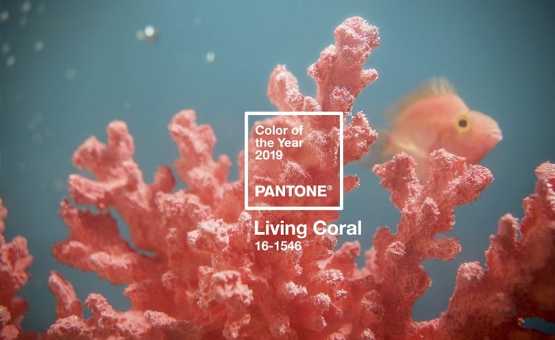 Pantone 2019 Color of the Year 16-1546 TPX Living Coral