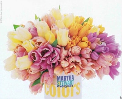 Martha Stewart Acrylic Paint Color Chart